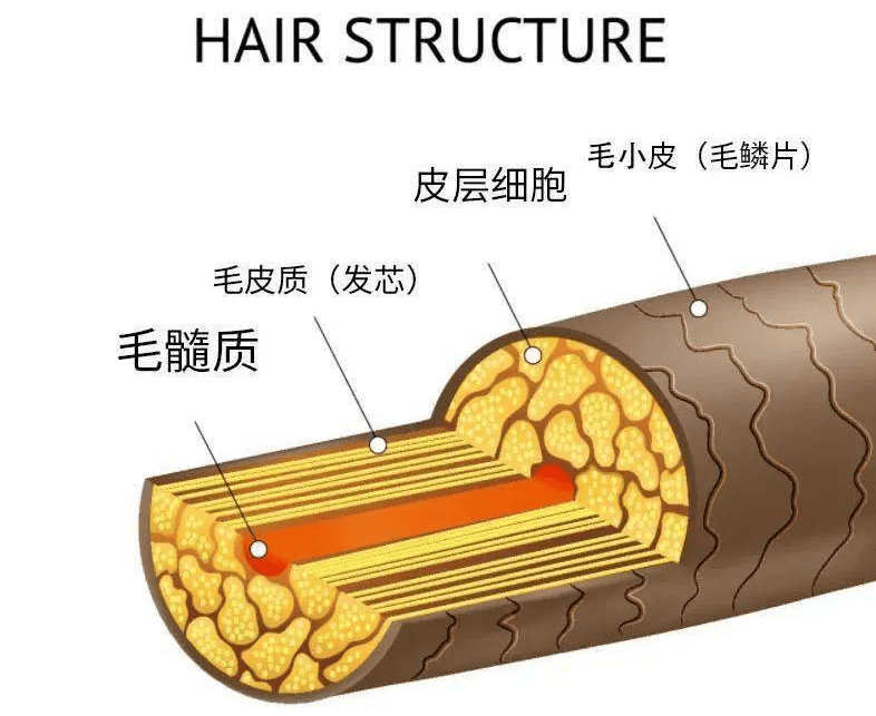 凯发app官方网站化妆品配方师证书国家承认吗？护肤品技术培训